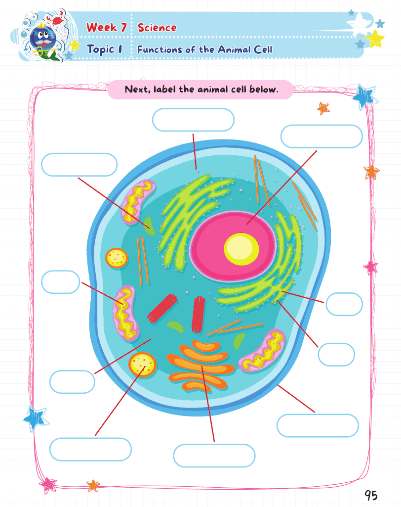 Summer Activity Playground Grade 7-8