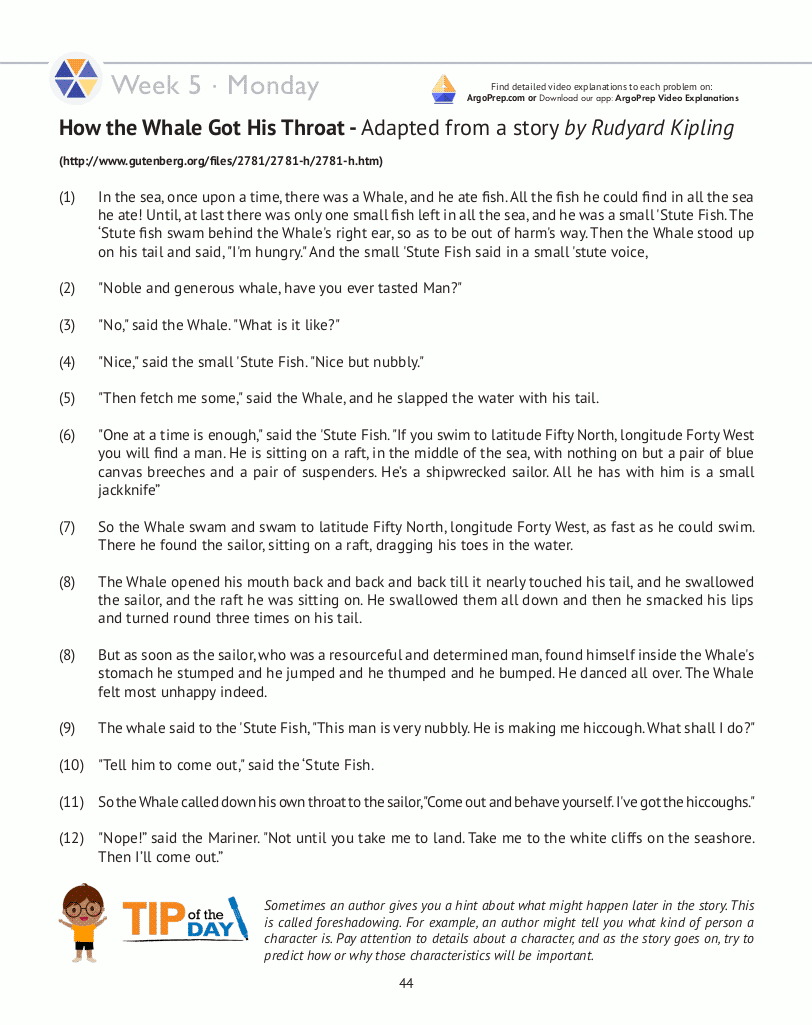 5th Grade Common Core ELA (English Language Arts: Daily Practice