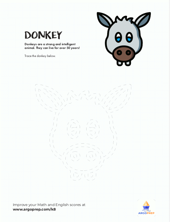 Donkey Tracing